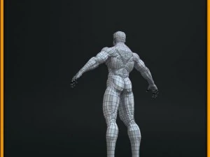 realistic male body 3D Model