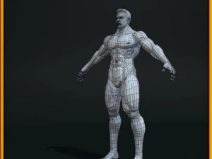 realistic male body 3D Model