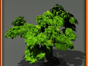 tree set 01 3D Model