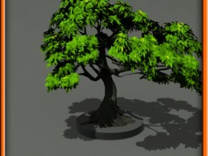 tree set 01 3D Model