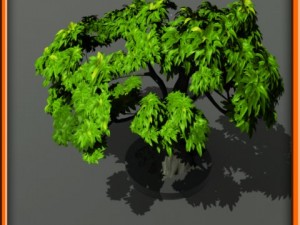 tree set 01 3Dモデル