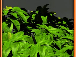 tree set 01 3D Model