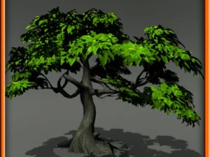 tree set 01 3D Model