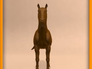 horse animated 3Dモデル