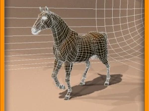 animasi kuda Model 3D