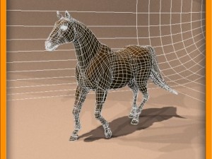 horse animated 3Dモデル