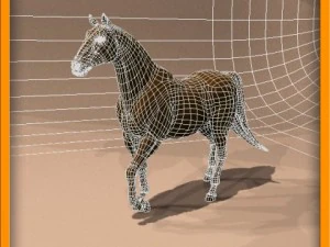 animasi kuda Model 3D