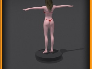 Realistic female body no rig 3D Model