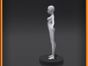 Female low poly base model 3D Model
