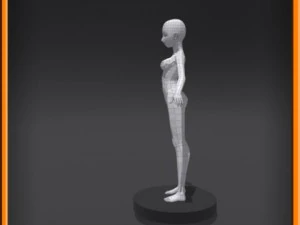 Female low poly base model 3D Model