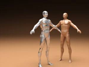 realistic male body 3D Print Model