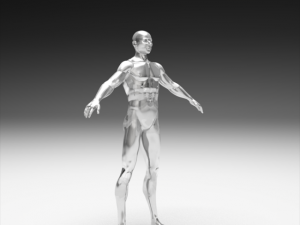 realistic male body 3D Принт Модель