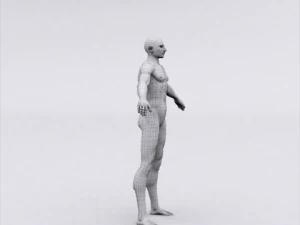 realistic male body 3D Print Model