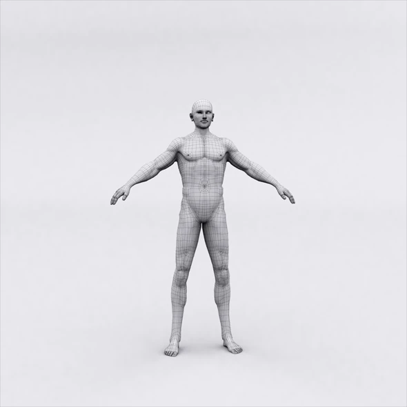 realistic male body 3D Print Model .c4d .max .obj .3ds .fbx .stl .blend