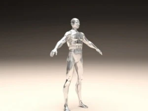 realistic male body 3D Print Model