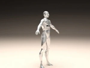 realistic male body 3D Print Model