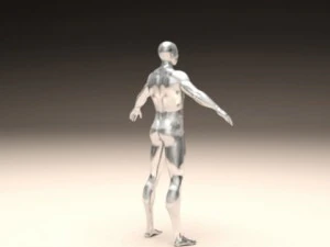 realistic male body 3D Print Model