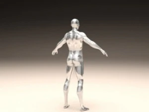realistic male body 3D Print Model