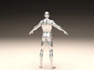 realistic male body 3D Print Model