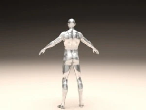 realistic male body 3D Print Model