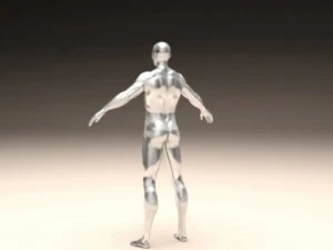 realistic male body 3D Print Model