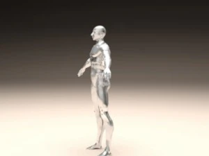 realistic male body 3D Print Model