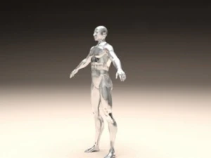 realistic male body 3D Print Model