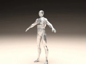 realistic male body 3D Print Model