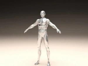 realistic male body 3D Print Model