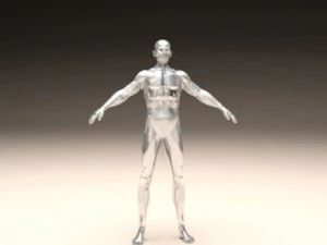 realistic male body 3D Print Model