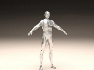 realistic male body 3D Print Model