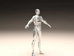 realistic male body 3D Print Model