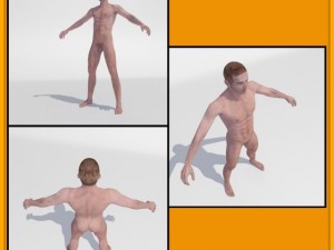realistic male body 3D 모델