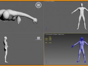 realistic male body 3D 모델