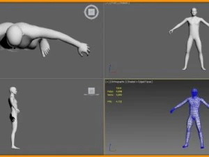 realistic male body 3D Model