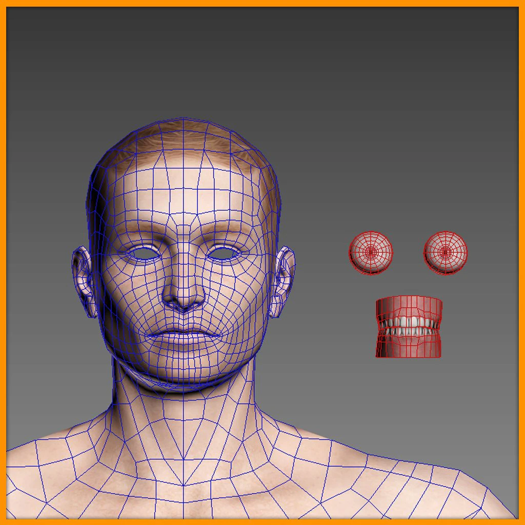 realistic male body 3D Model .c4d .max .obj .3ds .fbx .stl .blend 
