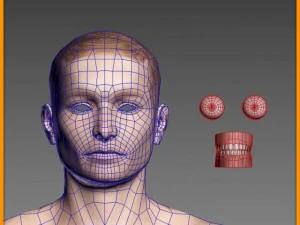 현실적인 남성의 몸 3D 모델