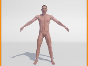 realistic male body 3D 모델