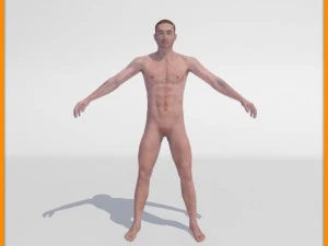 realistic male body 3D Model