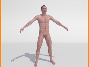 realistic male body 3D 모델