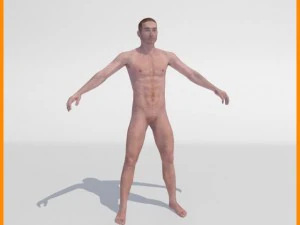 realistic male body 3D Model