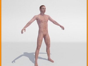 realistic male body 3D 모델