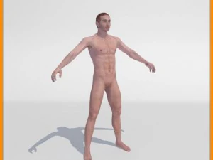 realistic male body 3D Model