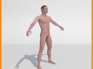 realistic male body 3D 모델