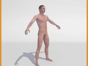 realistic male body 3D Model