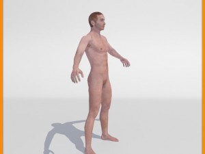 realistic male body 3D 모델
