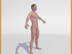 realistic male body 3D Model