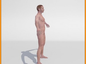 realistic male body 3D 모델