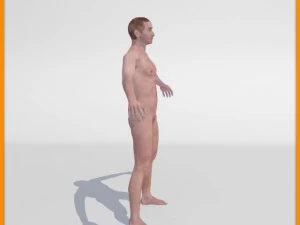 realistic male body 3D Model
