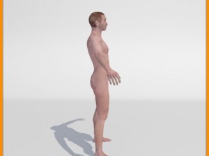 realistic male body 3D 모델